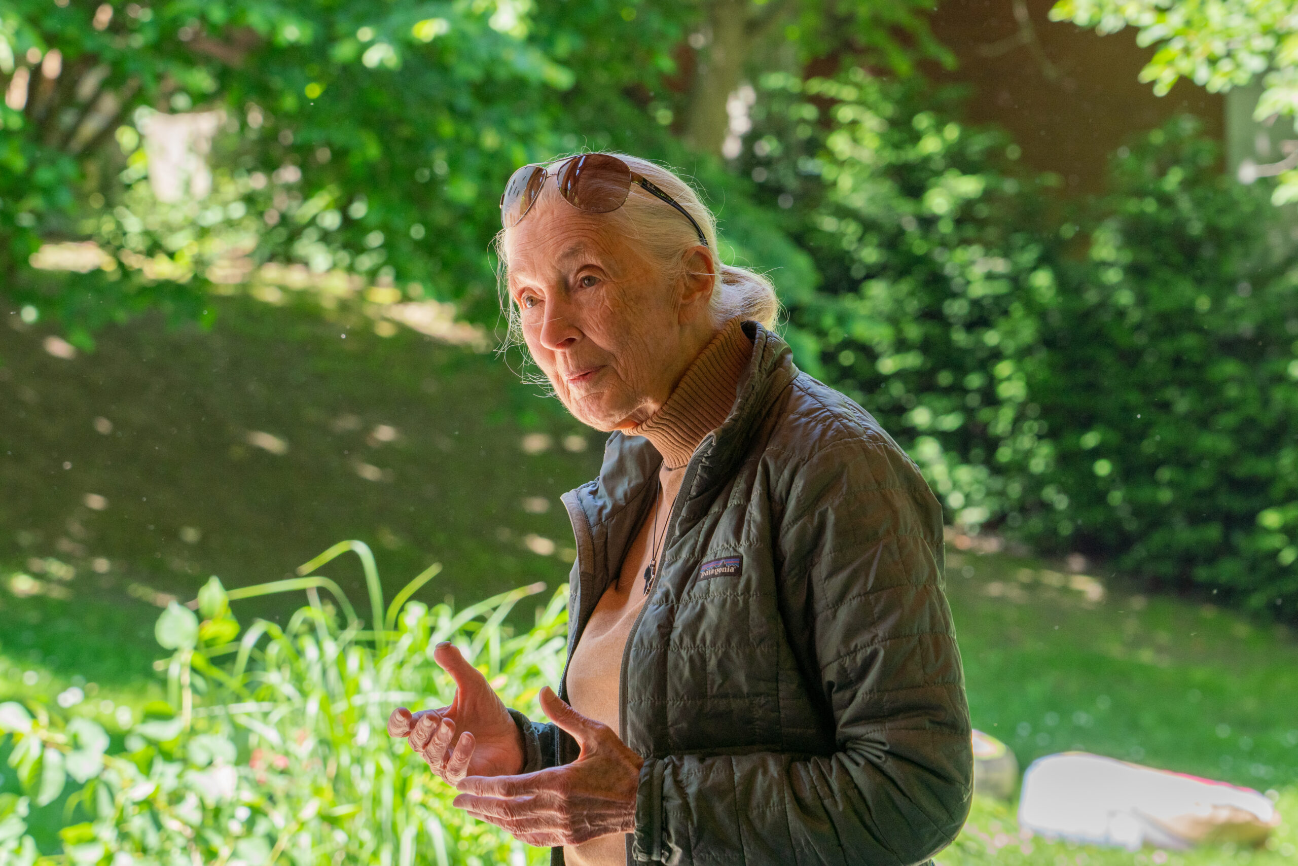 Jane Goodall v Green Foundation